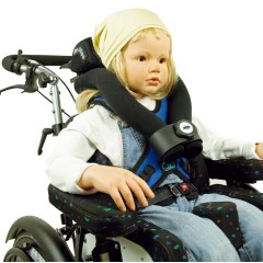 Neįgaliųjų vežimėlis